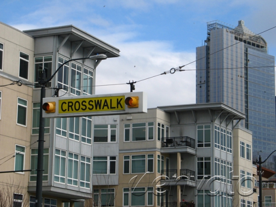 Duis magna purus elementum